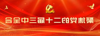 聚焦党的二十届三中全会